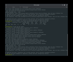 Elementary OS 5.0 Juno "sudo apt-get update" sorunu