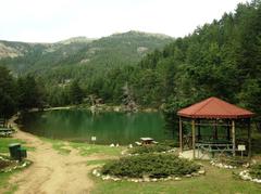  Araçla Karadeniz turu - Güzergah - Bol fotoğraf - HDi ve 300.000 km içerir :)