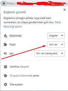 chrome son sürüm ve flash sorunu