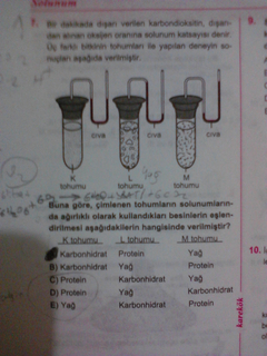  Solunum sorusu