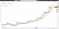 SON 5 YILIN DOLAR,EURO VE ALTIN GRAFİĞİ!!!