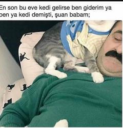 Dünyanın en güzel varlığının kedi olması