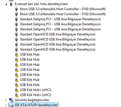  Usb root hub sorunu . Portlar çalışmıyor