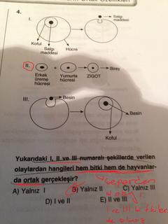  2014 YGS-LYS  /  BİYOLOJİ KULÜBÜ [ANA KONU]