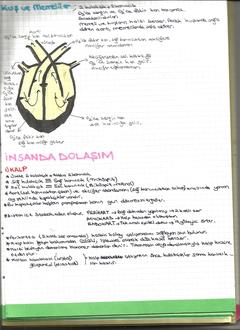  [DERS NOTLARIM]-YILDIZLAR EKLENDİ