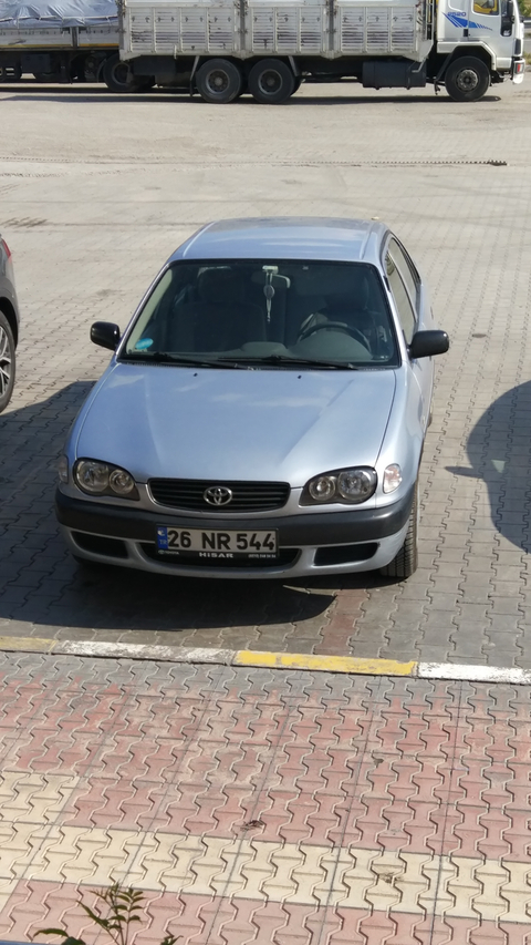 Fotoğraftaki bölgeleri boyattirsam