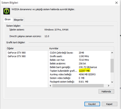  WINDOWS 10 VRAM KULLANIMI HAKKINDA