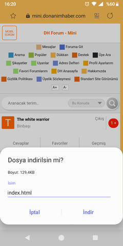 İndex.html İndirmesi çıkıyor