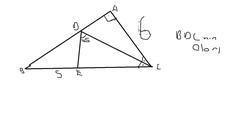  geometri deneme soruları