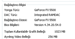  256 mb ekran kartı ile ne oynayabilirim