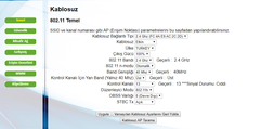 Netmaster Infinity 401 yeni modem