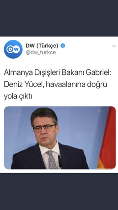 Almanya Deniz Yucel icin özel ucak yollamis.