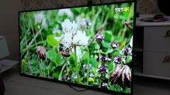 Sunny SN055DU851 55'' 4K TV İncelemesi