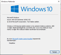 Windows 10 Mayıs 2019 Güncellemesi test kullanıcılarına sunuldu