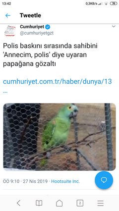 İnsanlar Neden Sadece Haber Başlığını Okur İçeriği Okumaz?