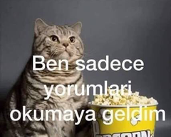 HONDA sorunu çözdü