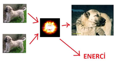  KANGAL VS ZEUS VS CERBERUS.