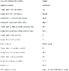  Hattımın Alabildiği Max. Hızı Nasıl Öğrenebilirim?