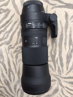  Sigma 150-600mm F5-6.3 DG OS HSM | C CANON UYUMLU SIFIR AYARINDA