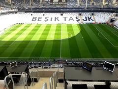  Beşiktaş'ımızın Yeni Stadyumu Vodafone Arena [Ana Konu]