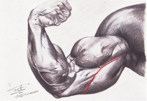 TİPİM ve VÜCUDUM nasıl ?