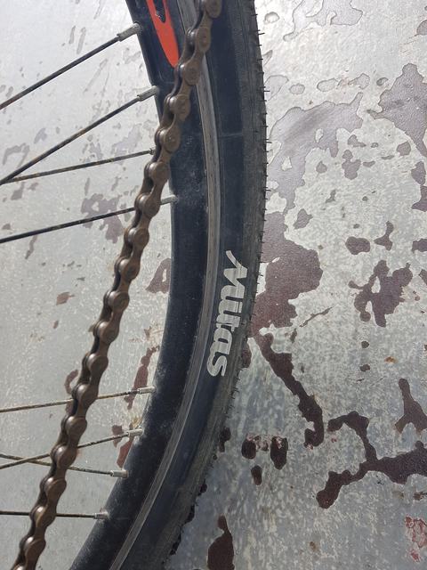 Mitas / Rubena Walrus 26x1.75 lastik rezilliği