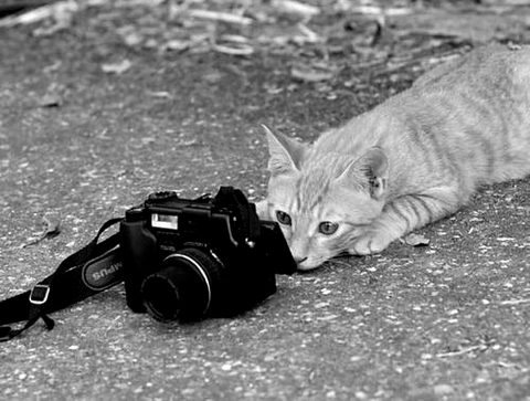 (((: ½------- Komik Ve İlginç Resimler -------½ :)))