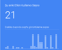 Herşeyi hazır aktif satış yapan e ticaret sitesi