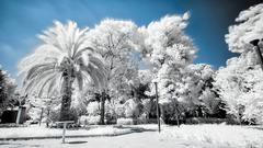 KIZILÖTESİ FOTOĞRAFÇILIK ( INFRARED PHOTOGRAPHY )