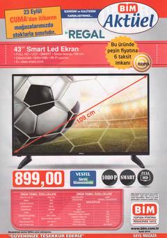  REGAL 43' FHD + SMART mı yoksa HI-LEVEL 40' FHD + UYDU mu almalıyım?