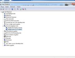  Ekran kartı sorununu çözemiyorum