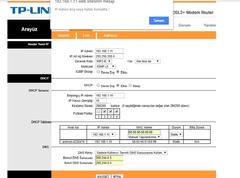 Tplink Modem dns sorunu.