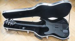  Schecter Hellraiser C1 Fr + Ibanez MC5 Hardcase ve Hediyeler FİYAT DÜŞTÜ