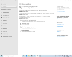 Windows 10 2022 Update 22H2 Build 19045.2130 GDR (18.10.2022)