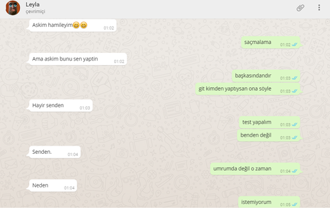 Kız Arkadaşım Hamile (SS'li)