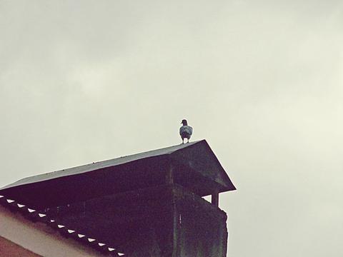 AMATÖR fotoğraf çalışmalarım.