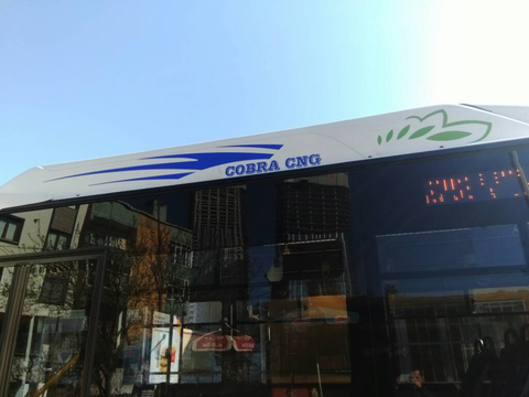 Güleryüz cobra gm 290 lf cng inceleme