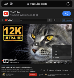 YouTube doymuyor! Artan reklamlardan sonra şimdi de 4K videolar ücretli oluyor