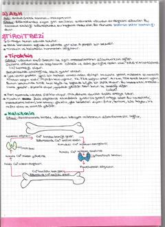  [DERS NOTLARIM]-YILDIZLAR EKLENDİ