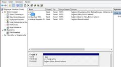  ssd yi bios görüyor windovs görmüyor
