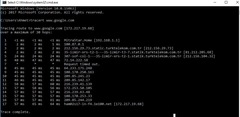 Netspeed statik ip CGN rezaleti