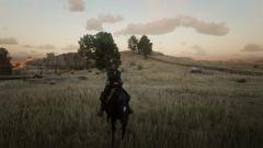 Red Dead Redemption 2 [PC ANA KONU]