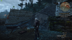 The Witcher 3 Wild Hunt [PS ANA KONU] | Rehber ilk sayfada