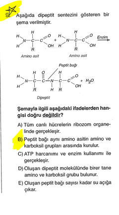 Biyoloji sorularım anlatır mısınız