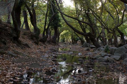 Taktik-sergi-amatör çekimler içerir