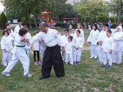  Aikido