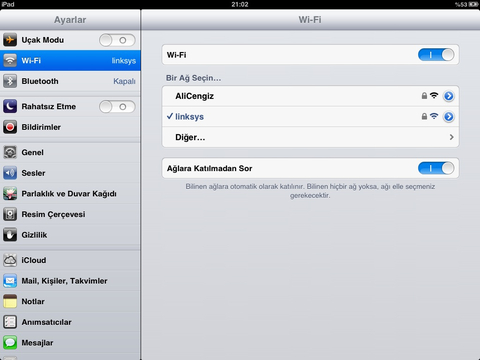 ipad mini wi-fi simgesi çıkmıyor