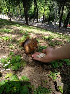 İstanbul'da bulunan en güzel park ve bahçeler