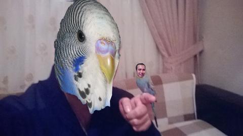 Kuşum ve benim tipimiz nasıl ss li