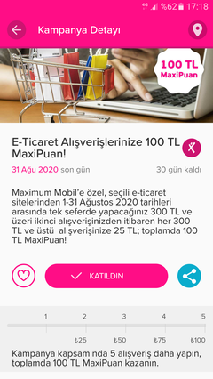 Maximum e ticaret 100 tl 